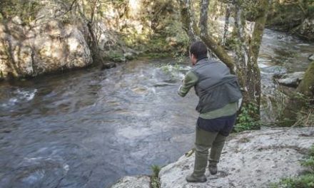 Dudas legales sobre el inicio de la temporada de pesca fluvial en Galicia