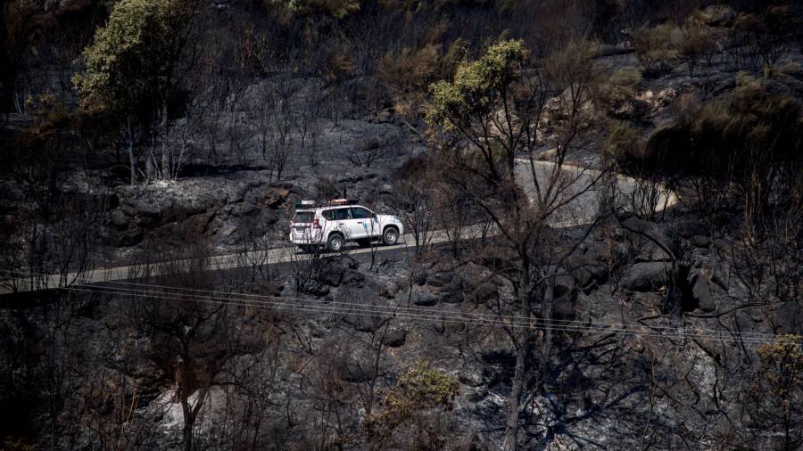 Más de 1.500 hectáreas ardieron por el incendio de Cualedro y Monterrei