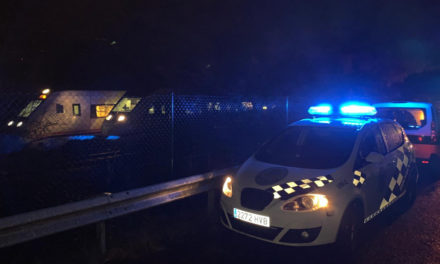 Un tren «Alvia» descarriló anoche a la entrada de Pontevedra sin víctimas